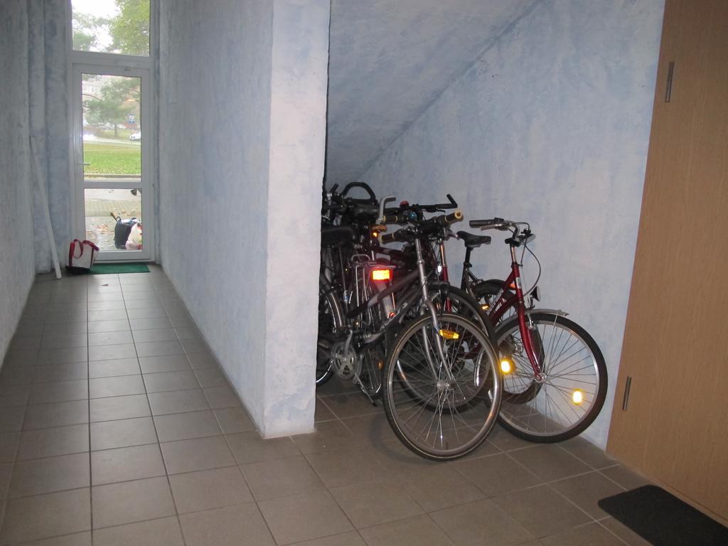 Nida Lotmiskio Apartamentas المظهر الخارجي الصورة